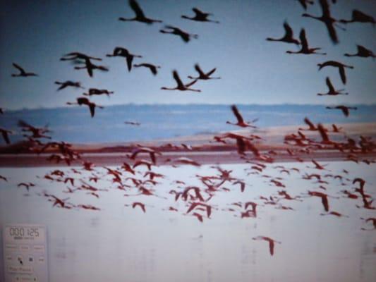 Photo of Michelle S.