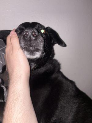 Photo of Logan ..