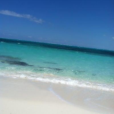 Photo of Kathy M.