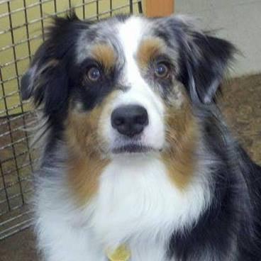 Photo of Beth Ann B.