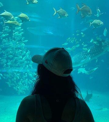 Photo of Lulu C.