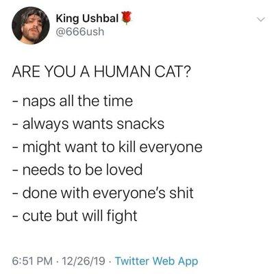 photo of Michelle H.