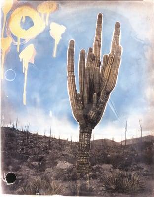 Photo of lawrence f.