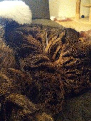 photo of Vladimir D.