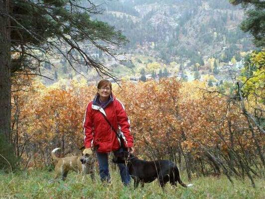 Photo of Deb D.
