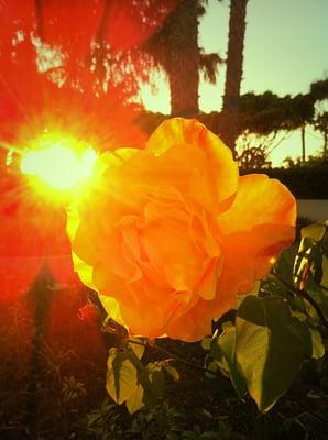 Photo of Gwendolyn K.