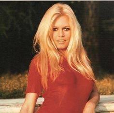 photo of Dauphine D.