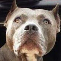 photo of Laurynas G.