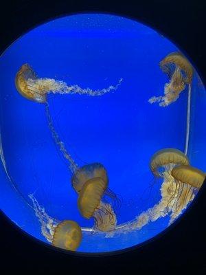 photo of Elizabeth L.