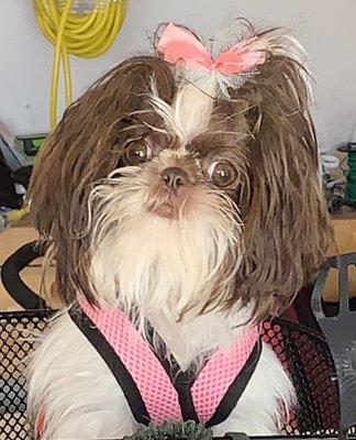 Photo of Theresa M.