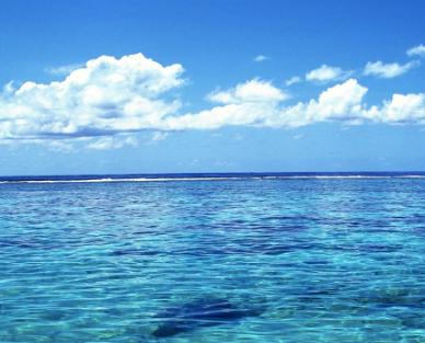 Photo of Caroline F.