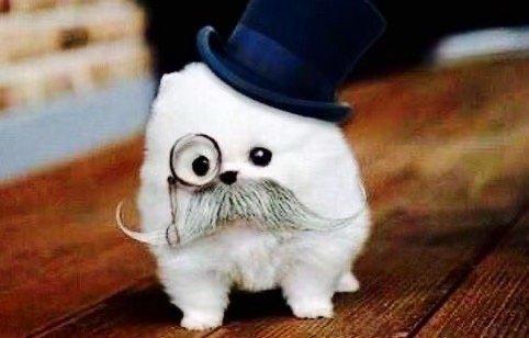 Photo of Isabella R.