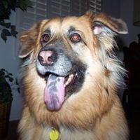 Photo of Sherrie H.