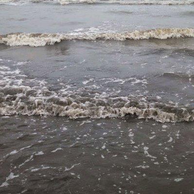 Photo of Elizabeth R.