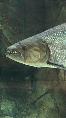 Photo of Catharine L.