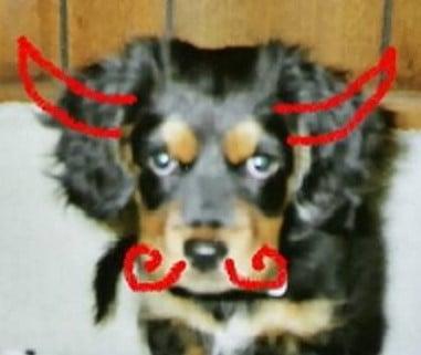 photo of The Other T.