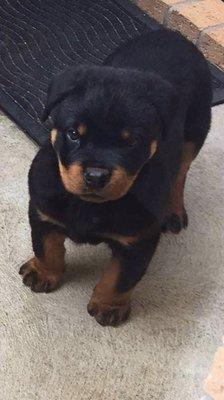 Photo of Stephanie P.