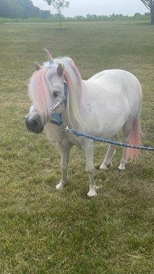 photo of Michelle C.