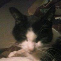 Photo of Daryl B.