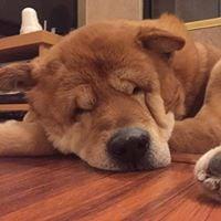 photo of Jacqueline K.