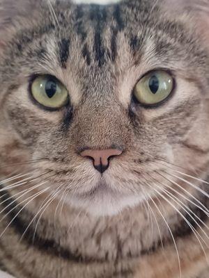 photo of Bleesing P.