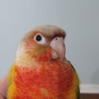 Photo of Elijah
