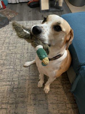 photo of Charlotte D.