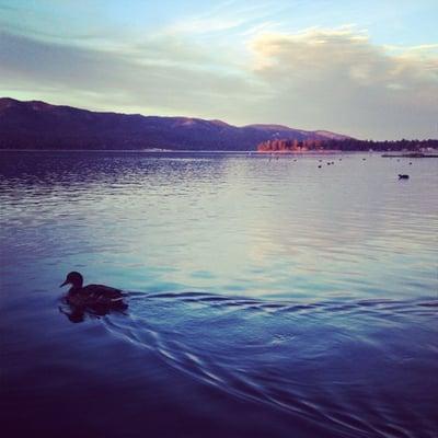 photo of Foodlover A.