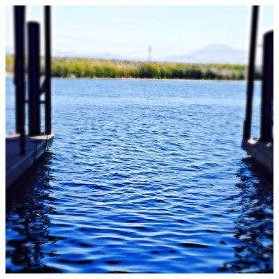 photo of Anonymous T.