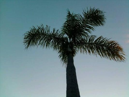 photo of Alexandra L.