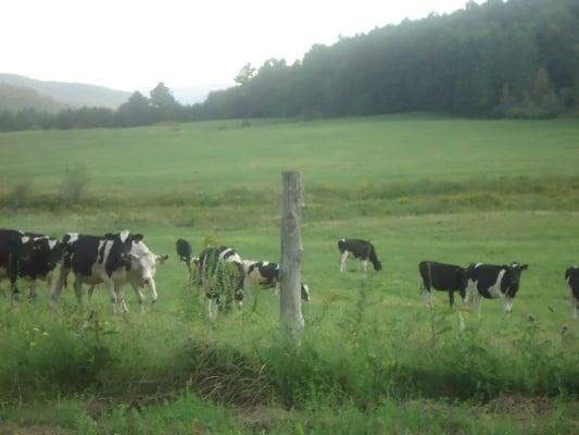 Photo of Kathleen C.