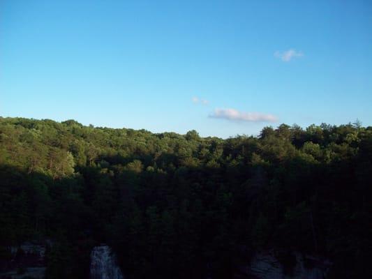 photo of Jennifer V.