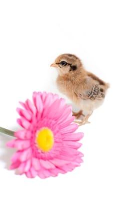 Photo of jennifer m.