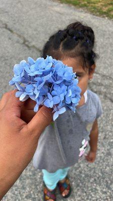 photo of Hernandez K.