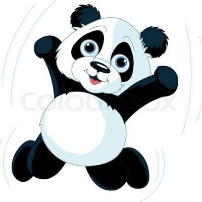 Photo of Randa P.