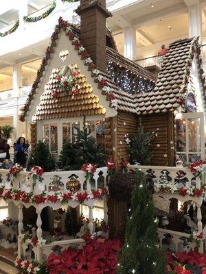 photo of Kathleen C.