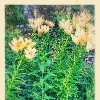 photo of Elizabeth M.