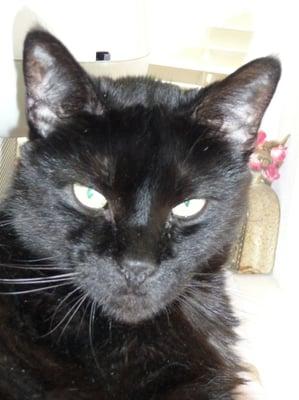 photo of Michelle M.