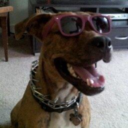 photo of Danielle P.