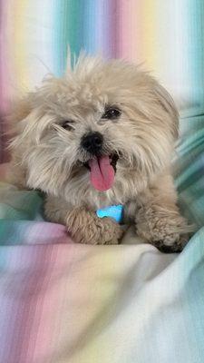 Photo of Cindy P.