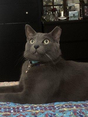 photo of Lorraine A.