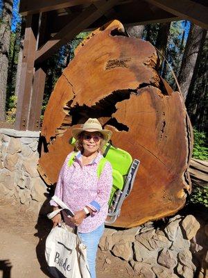 photo of Rosemary C.