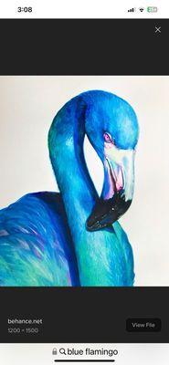 photo of Marjorie R.