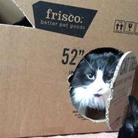 photo of Jennifer E.