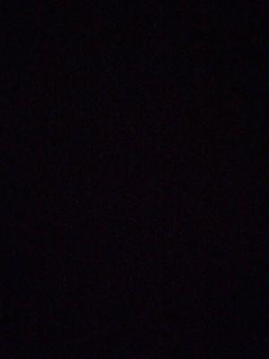 Photo of Ty L.