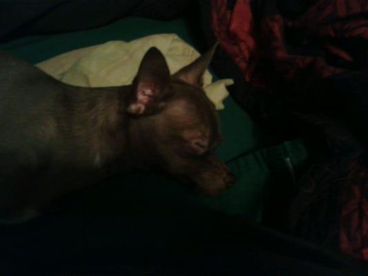 photo of Veronica B.