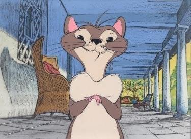 photo of RikkiTikkiTav I.