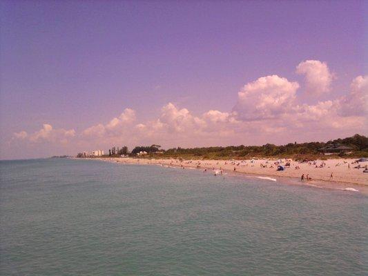 photo of Sandi S.