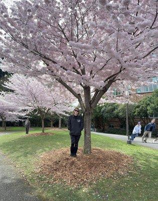 photo of Christine M.