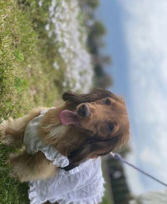 Photo of Lily D.